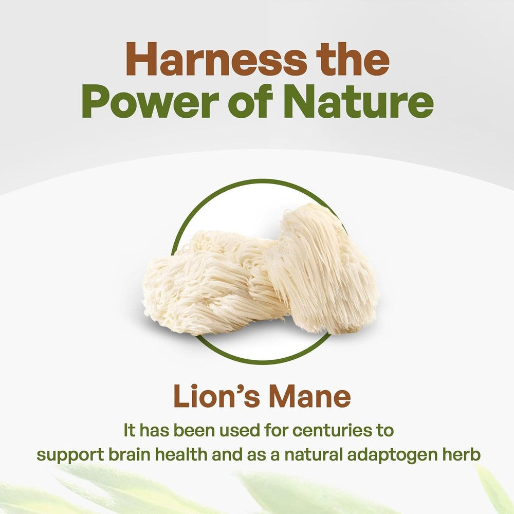 8.8oz Pure Extract for Focus & Cognitive Support Lion's Mane Mushroom Powder