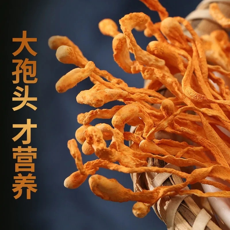 Tradition Organic Cordyceps Sinensis Dried Mushroom 250g/8.8oz