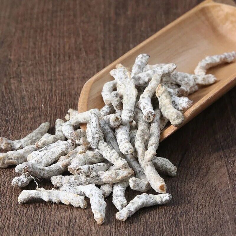 Bai Jiang Can Bombyx Batryticatus, Silkworm Larva, Bombyx Mori 500g/1.1LB