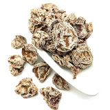Preserved Fruit Dried Plum Salty Sweet and Sour Plum Seedless Plum Meat 话梅肉 500g