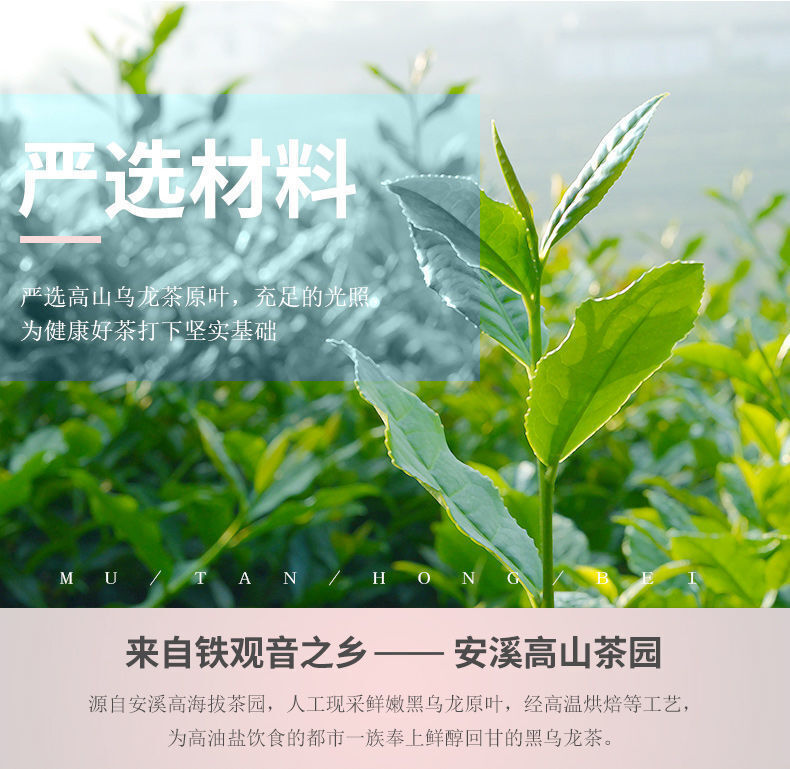 Black Oolong Tea Premium Chinese Oolong Tea for Slimming Tea 250g Box
