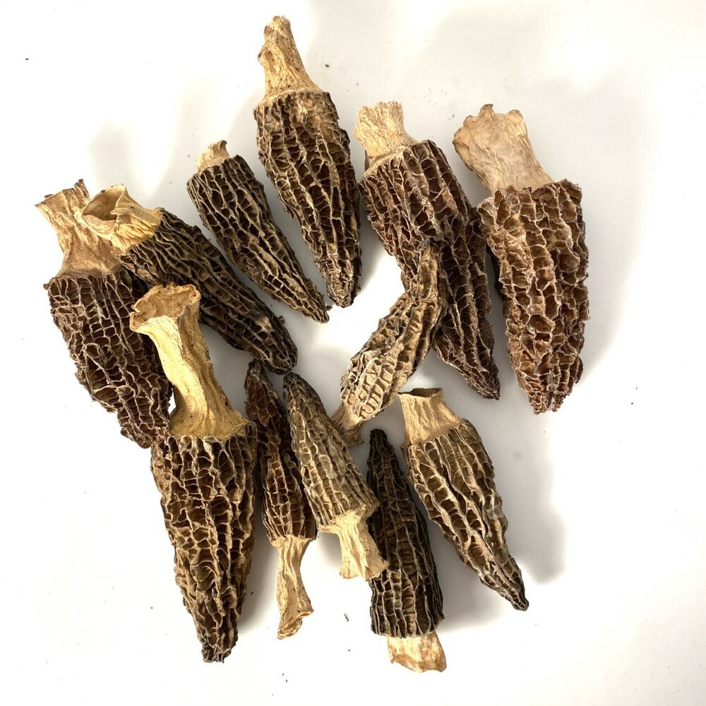 90g - 150g Getrocknete wilde Morchelpilze, wilde Morcheln Gewicht mit Verpackung