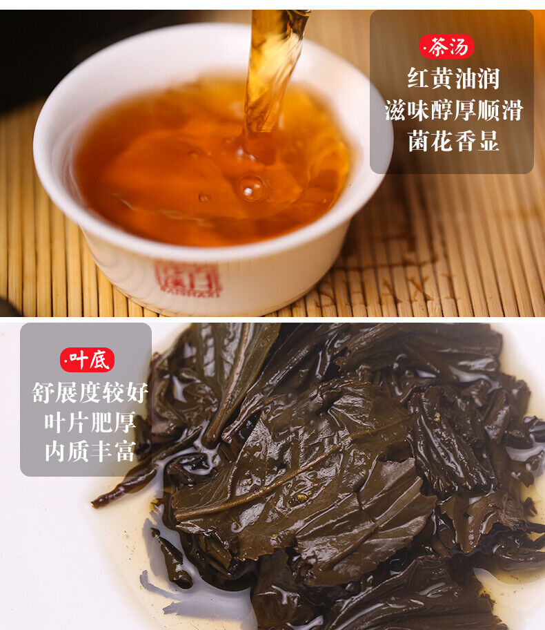 BAISHAXI Straight Foam Brick Anhua Golden Flowers Fucha Dark Tea 240g Brick
