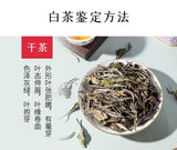 CHINATEA Fujian White Tea Bai Mu Dan Pai Mu Tan Tea White Peony Tea 100g Tin