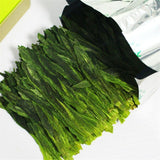 Premium Tai Ping Hou Kui Green Tea* China Monkey King Taiping Houkui Loose Tea