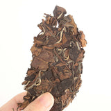 350g Fuding White Tea Shoumei Authentic Organic White Tea Cake Chinese White Tea