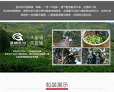 Dian Lv Silver Tips Yunnan Green Tea Supreme Organic Early Spring Snowy Mountain