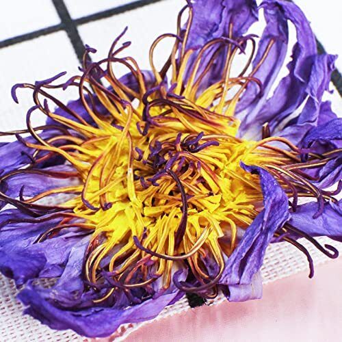 TEARELAE - Natural Blue Lotus Flower From Egyptian Water Lily 1.5 Oz/45g - Secondary image