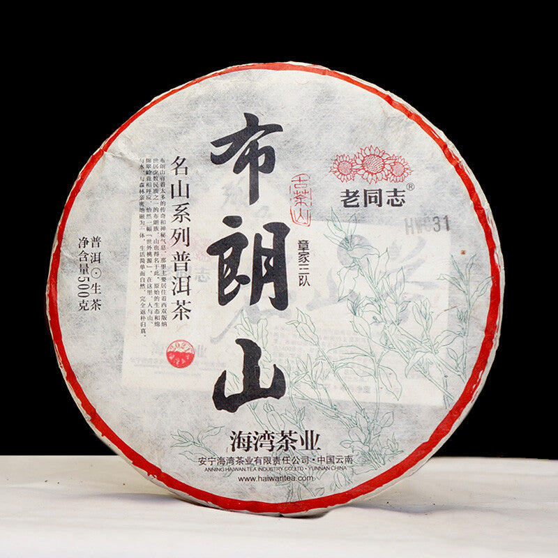 Mountain Aged Tree 500g 2021 Haiwan Zhang Jia San Dui Puer Raw Tea Bulang Famous Secondary image