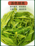 Hubei Lv Cha Premium Enshi Selenium Tea High Mountain Green Tea En Shi Se-Tea