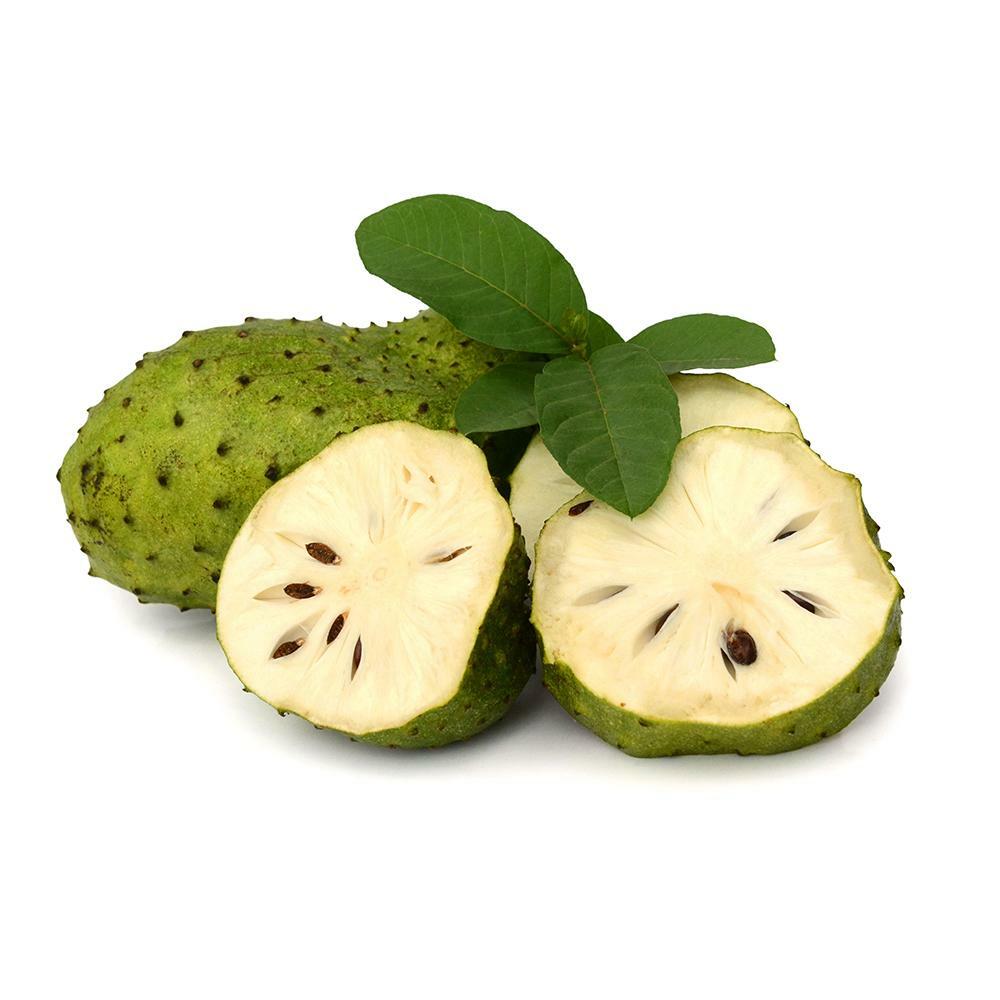 Organic Dehydrated/dried Soursop/Graviola/Annona/Muricat Tropical Fruit powder