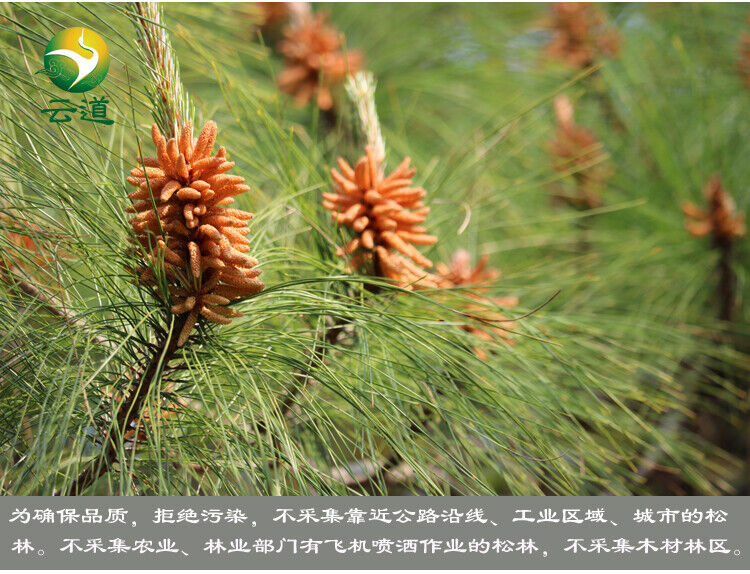 Yunnan Organic Pine Pollen Powder 99% Broken Cracked Cell Wall (wild Harvested)