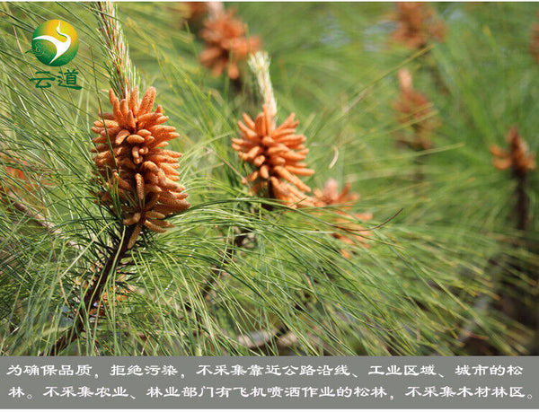 Yunnan Organic Pine Pollen Powder 99% Broken Cracked Cell Wall (wild Harvested)