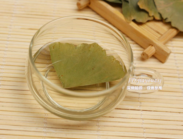 Dried Ginkgo Biloba Leaf Tea Health Pure Natural Anti-aging Green Chinese Herbal