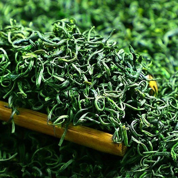 Yunwu Maojian Green Loose Leaf High Mountain Tea Green 250g
