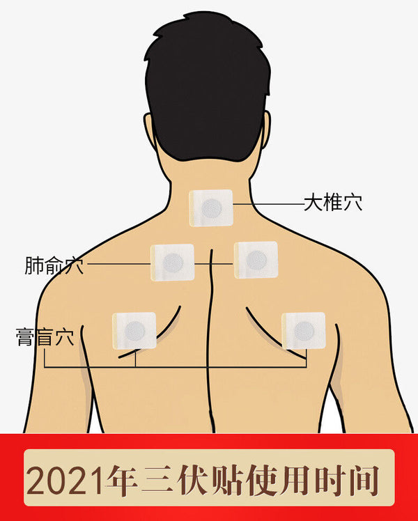 Pack of 30 Wormwood Sanfu Paste Cervical Moxa Plaster Peking Sang Paste III