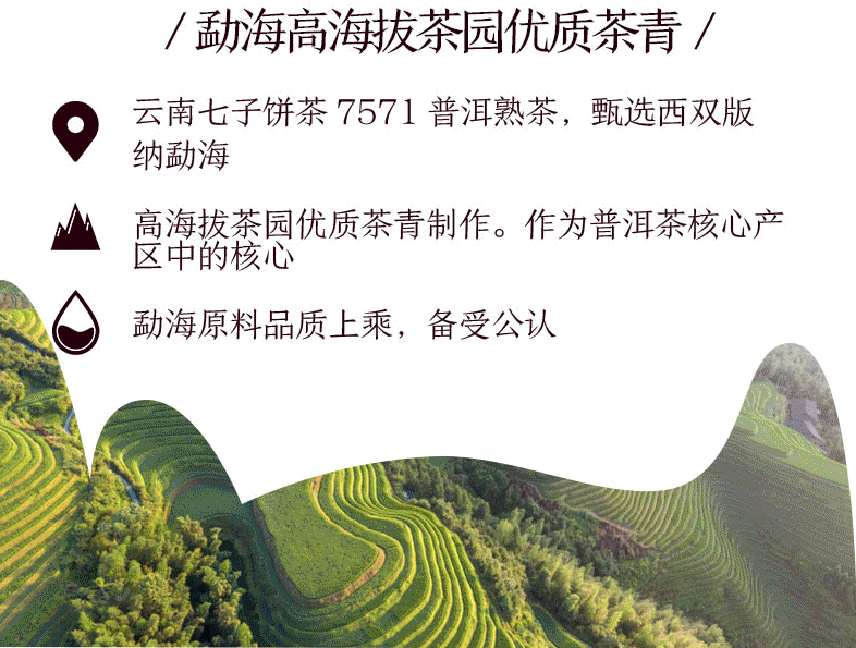 CHINATEA Brand Classic 7571 Pu-erh Tea Cake  357g Pu'er Ripe Puer Zhongcha