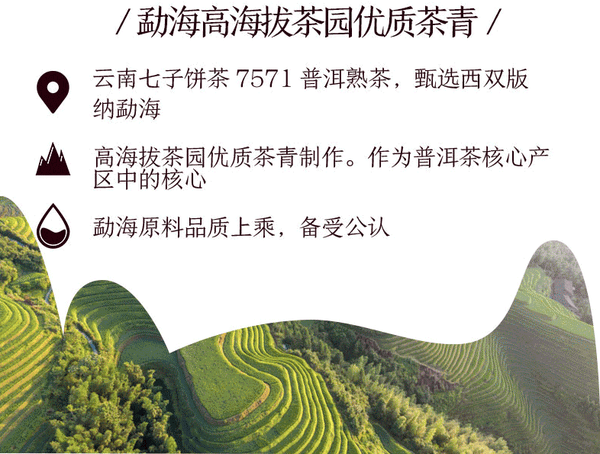 CHINATEA Brand Classic 7571 Pu-erh Tea Cake  357g Pu'er Ripe Puer Zhongcha