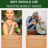 100Pcs Barley Grass Powder 100%Pure &Organic, Pure Organic Barley--