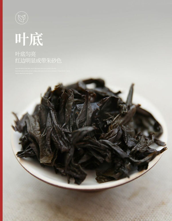 Wuyi Star 5 Year Aged Big Red Robe Da Hong Pao Tea Dahongpao Oolong Tea 125g Tin