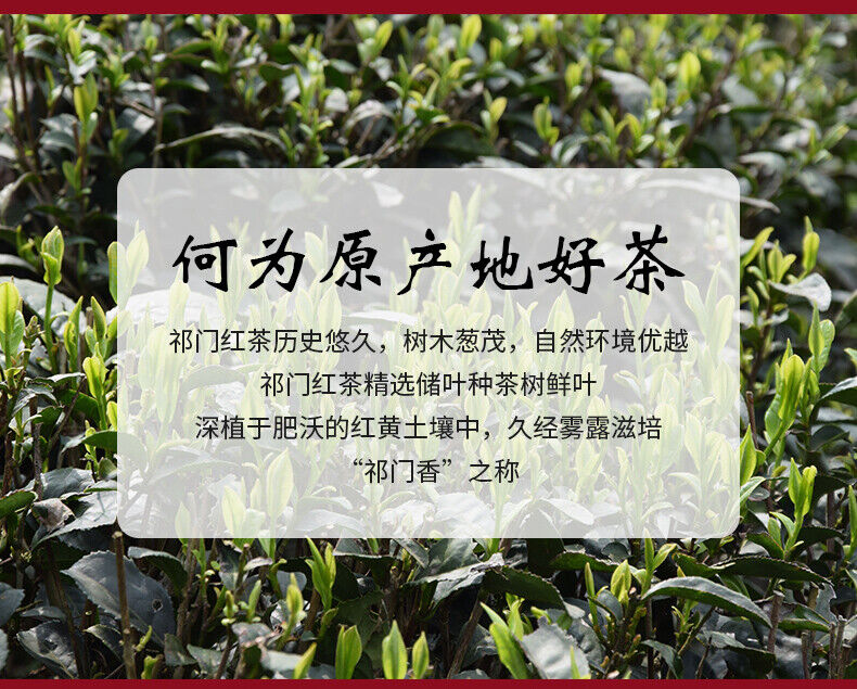 TeaChinese Keemun Black Tea 100g Anhui Premium Qimen Qi Men Gongfu Hong Cha