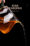 Anhua Instant Hey Cha Mini Fu Zhuan Golden Flower China Dark Tea Brick 200g