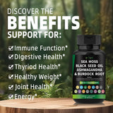 Certified Organic Sea Moss Capsules Irish Sea Moss Bladderwrack Burdock Root