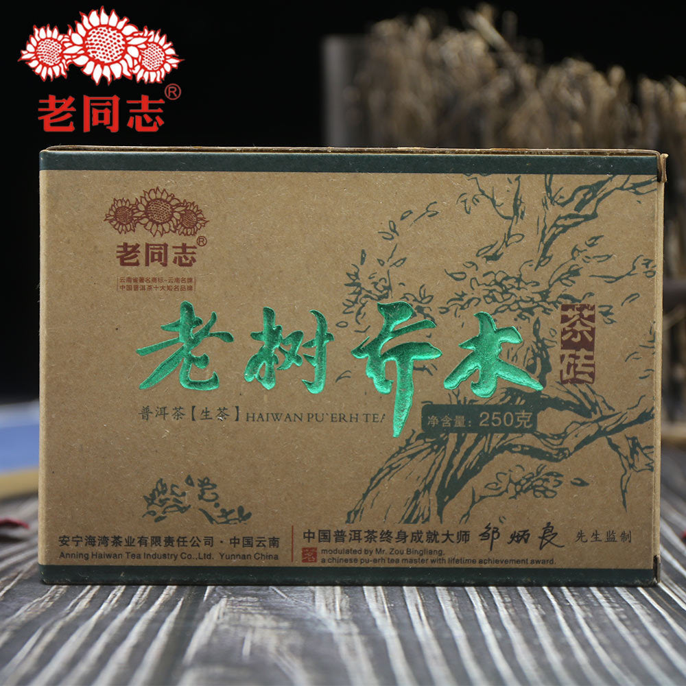 Haiwan Tea Pu Erh Lao Shu Qiao Mu Raw Pu Erh Tee Brick 250g Main image