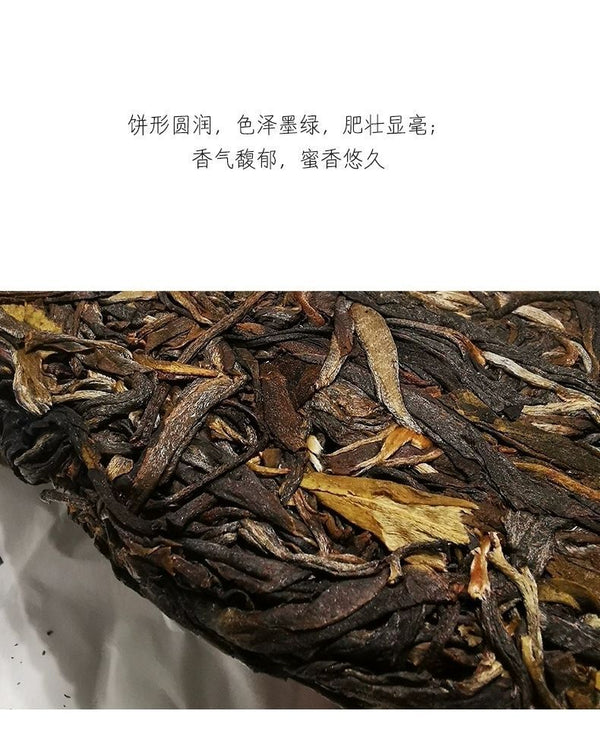 China Tea Emerald 88 Green Cake Banzhang Big Tree Puer Raw Pu'er Qizi 357g