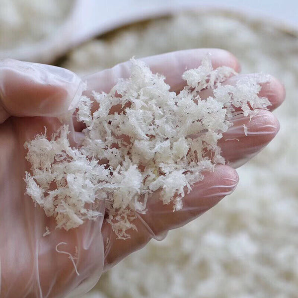 50g atural Swallow Bird Nest Bird's Nest Indonesia AAAA High Quality 燕窝 燕碎 燕条