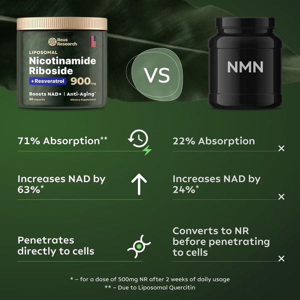 NAD+ Supplement Energie, Fokus Booster Nicotinamid Ribosid