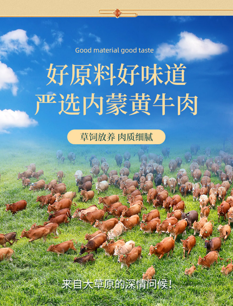 内蒙古特产手撕牛肉干 500g Inner Mongolia Specialty Beef Jerky Hand-Torn Beef Jerky Snacks