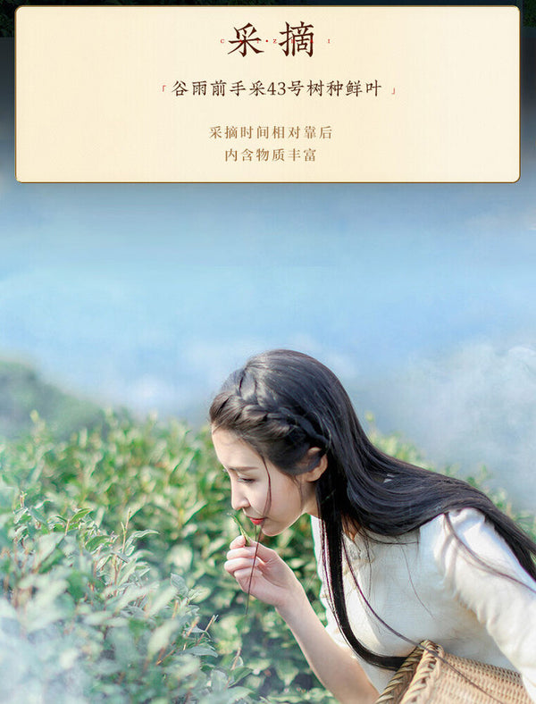 YU QIAN * XiHu Brand Hangzhou Longjing Tea Dragon Well Green Tea Long Jing 200g