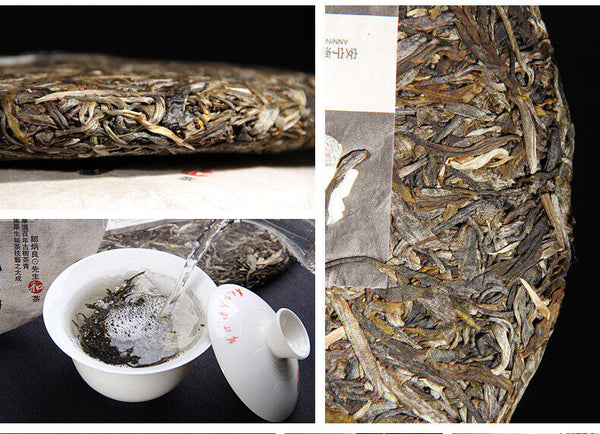 Yunnan Pu'er Tea Liangpin Series Haiwan Old Comrade Liangyuan Raw Cake 400g