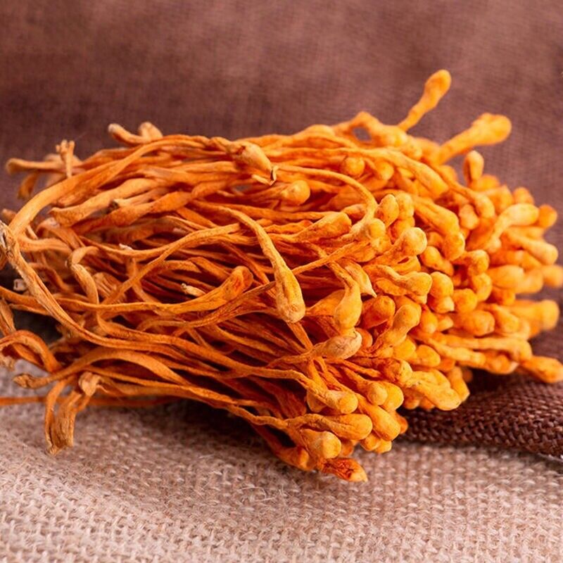 Dried Jin Chong Cao Herb Cordyceps Militaris Cordyceps Flower 虫草花 Main image