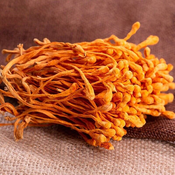 Dried Jin Chong Cao Herb Cordyceps Militaris Cordyceps Flower 虫草花
