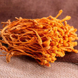 Dried Jin Chong Cao Herb Cordyceps Militaris Cordyceps Flower 虫草花
