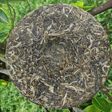 357g Yunnan Qizi Pu-erh Tea Cake Original Forest Puerh Sheng Tea Pu'er Green Tea