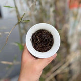 357g Yunnan Raw Pu-erh Old Tea Cake Jiangcheng Puerh Tea Aged Pu'er Raw Tea