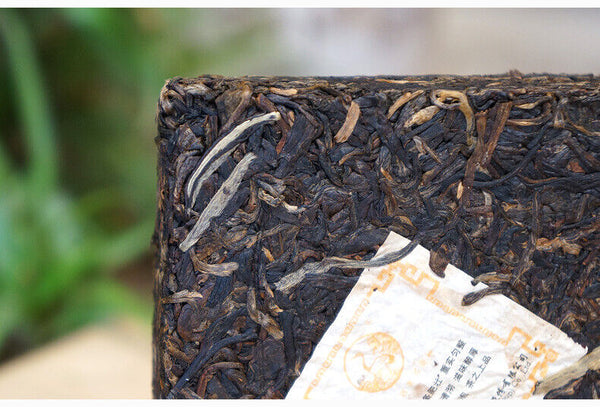 Xiaguan Tuocha Raw Cang Er Fang Zhuan Tea Shen Pu Erh Aged Tea Brick 250g