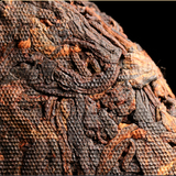 357g Puerh Ripe Tea Cake 5Years Yunnan Pu-erh Cooked Tea Organic Pu'er Black Tea