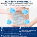 Raw Probiotics 100 Billion CFU Potency Digestive Immune Health 60 Capsules USA