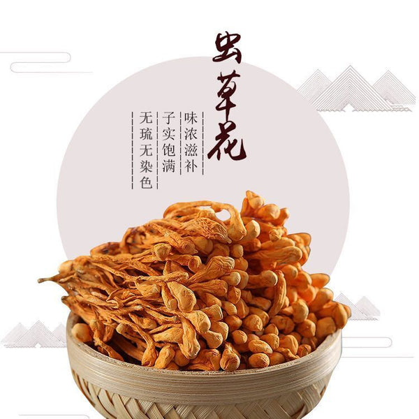 500g Chinese Dried Chinese Jin Chong Cao Cordyceps~Cordyceps Militaris Herb