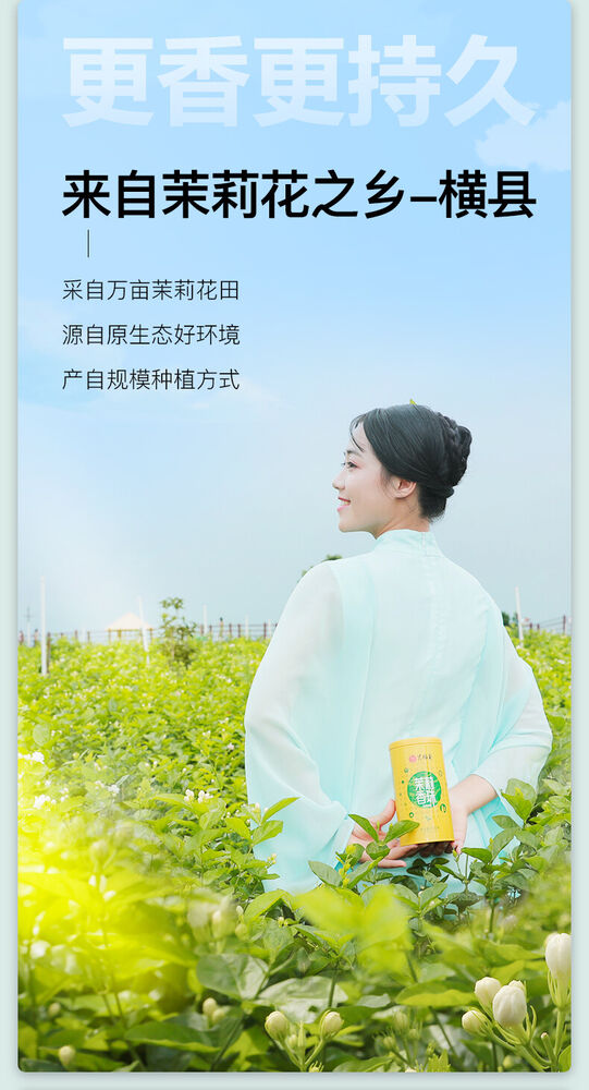 EFUTON Mo Li Pearl Jasmine Green Tea Jasmine Dragon Pearl Tea Jasmine Tea 200g