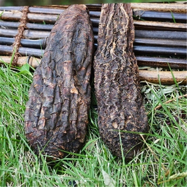 Natural Sinkiang Wild Desert Life Avalanche Herb Tonic Rou Song Rong 17.6oz