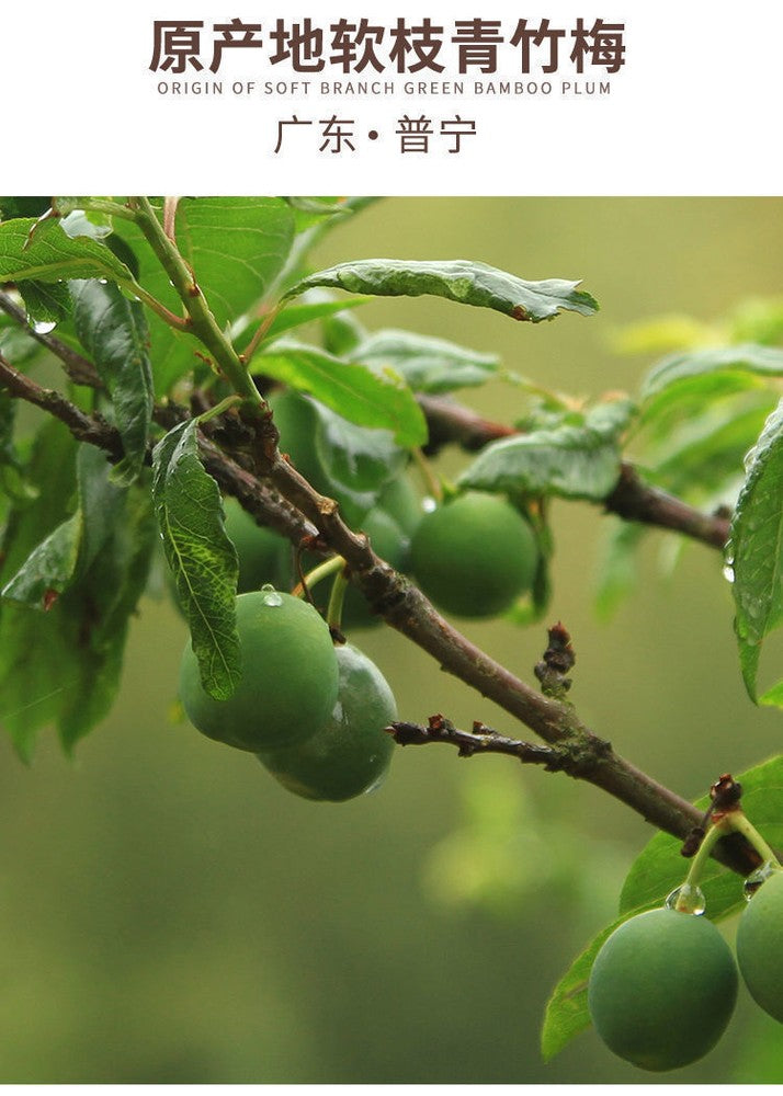 Preserved Fruit Dried Plum Salty Sweet and Sour Plum Seedless Plum Meat 话梅肉 500g