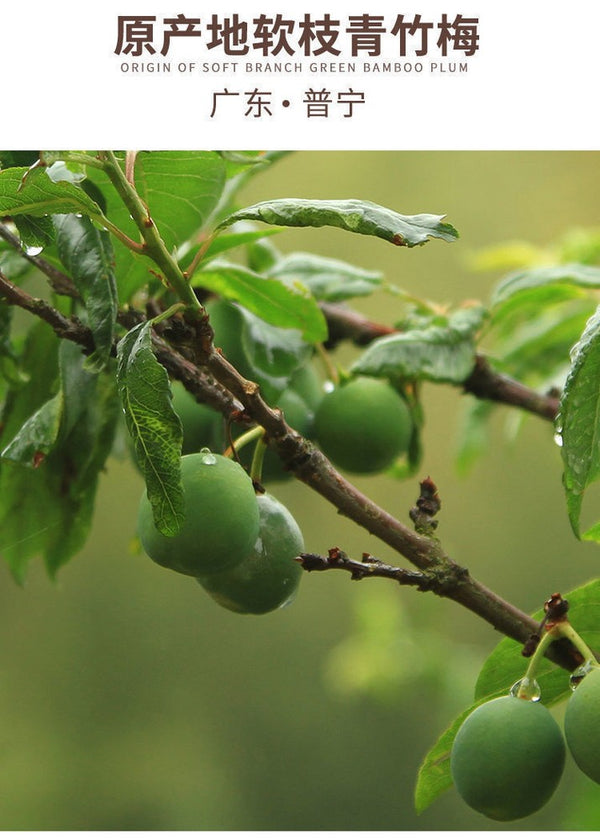 Preserved Fruit Dried Plum Salty Sweet and Sour Plum Seedless Plum Meat 话梅肉 500g