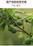 Preserved Fruit Dried Plum Salty Sweet and Sour Plum Seedless Plum Meat 话梅肉 500g