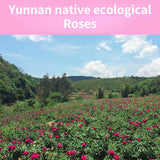 357g Rose Black Tea Yunnan Rose Tea Cake Chinese Flower Tea Women Slimming Tea