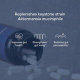 Akkermansia Muciniphila Probiotic - 30/60Caps - Gut Health Support, New Formula